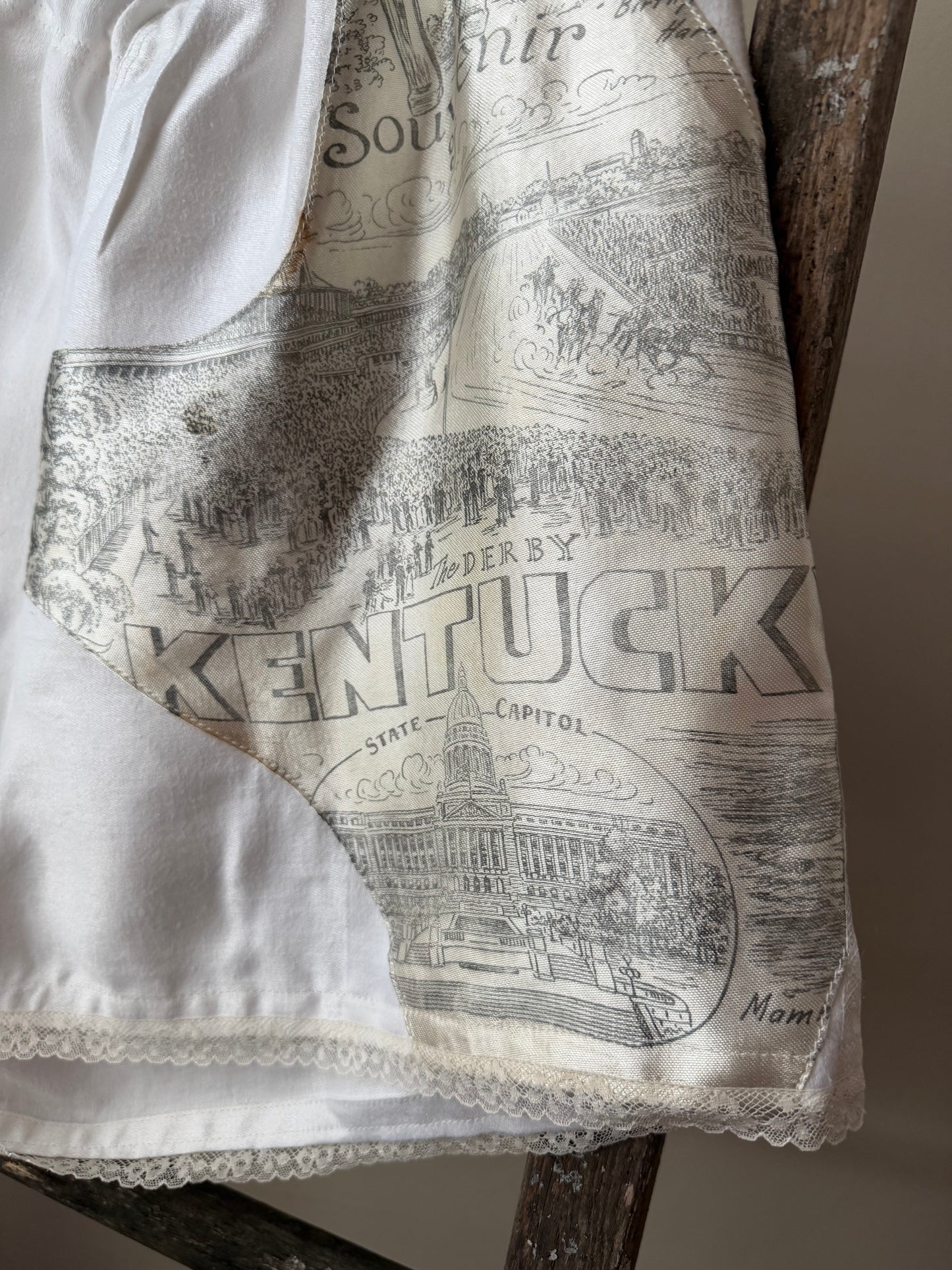 Linen Kentucky Souvenir Shorts [L]