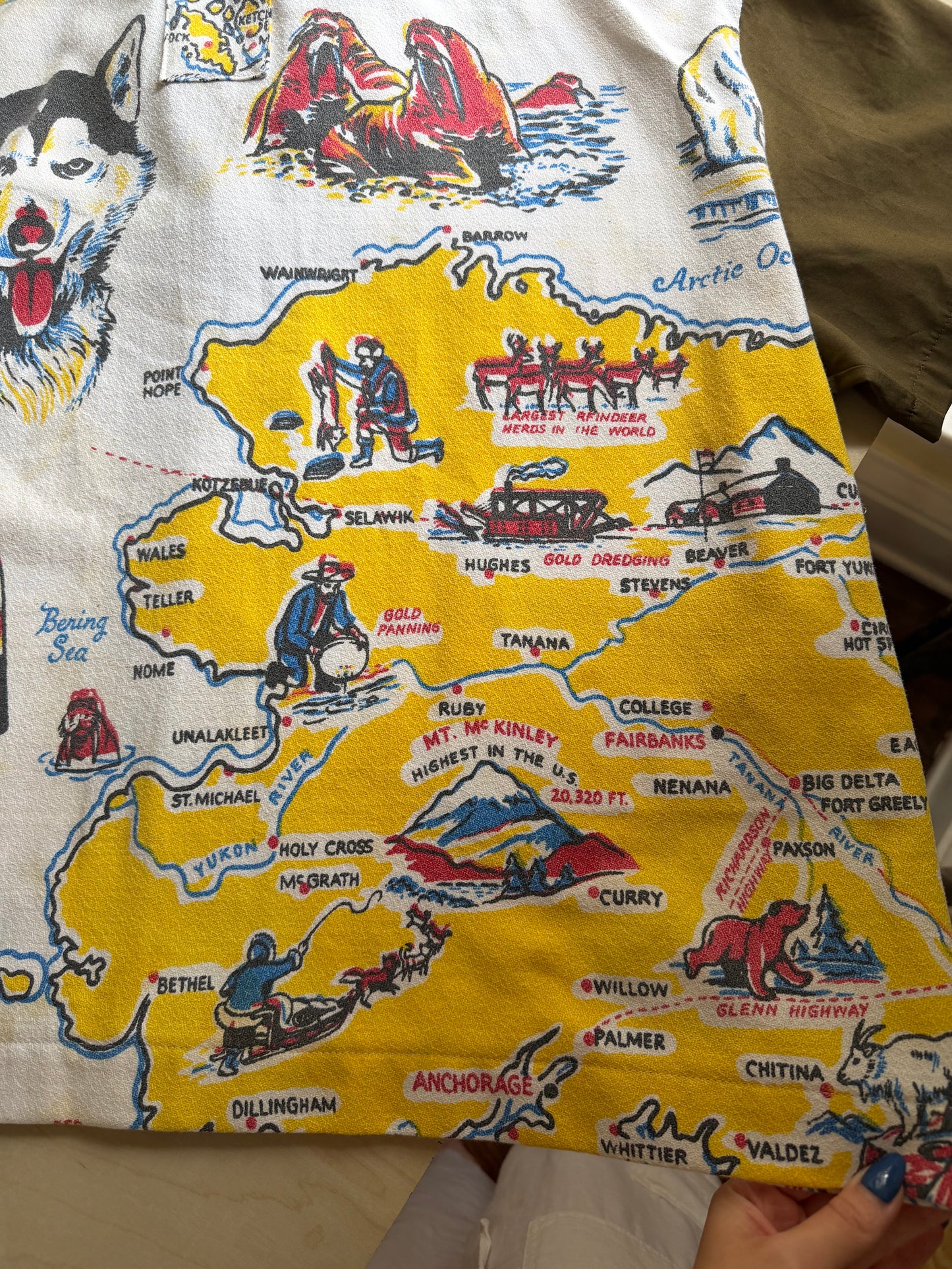 Alaskan Wilderness Souvenir Camp Collar [L]