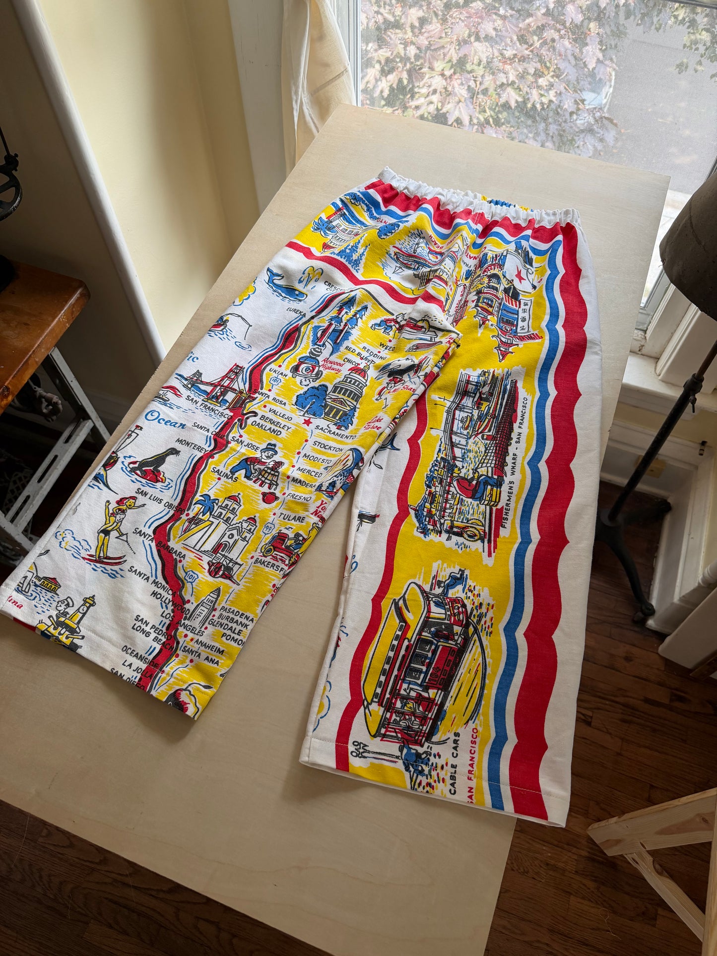 California Explorer Souvenir Pants [S/M]