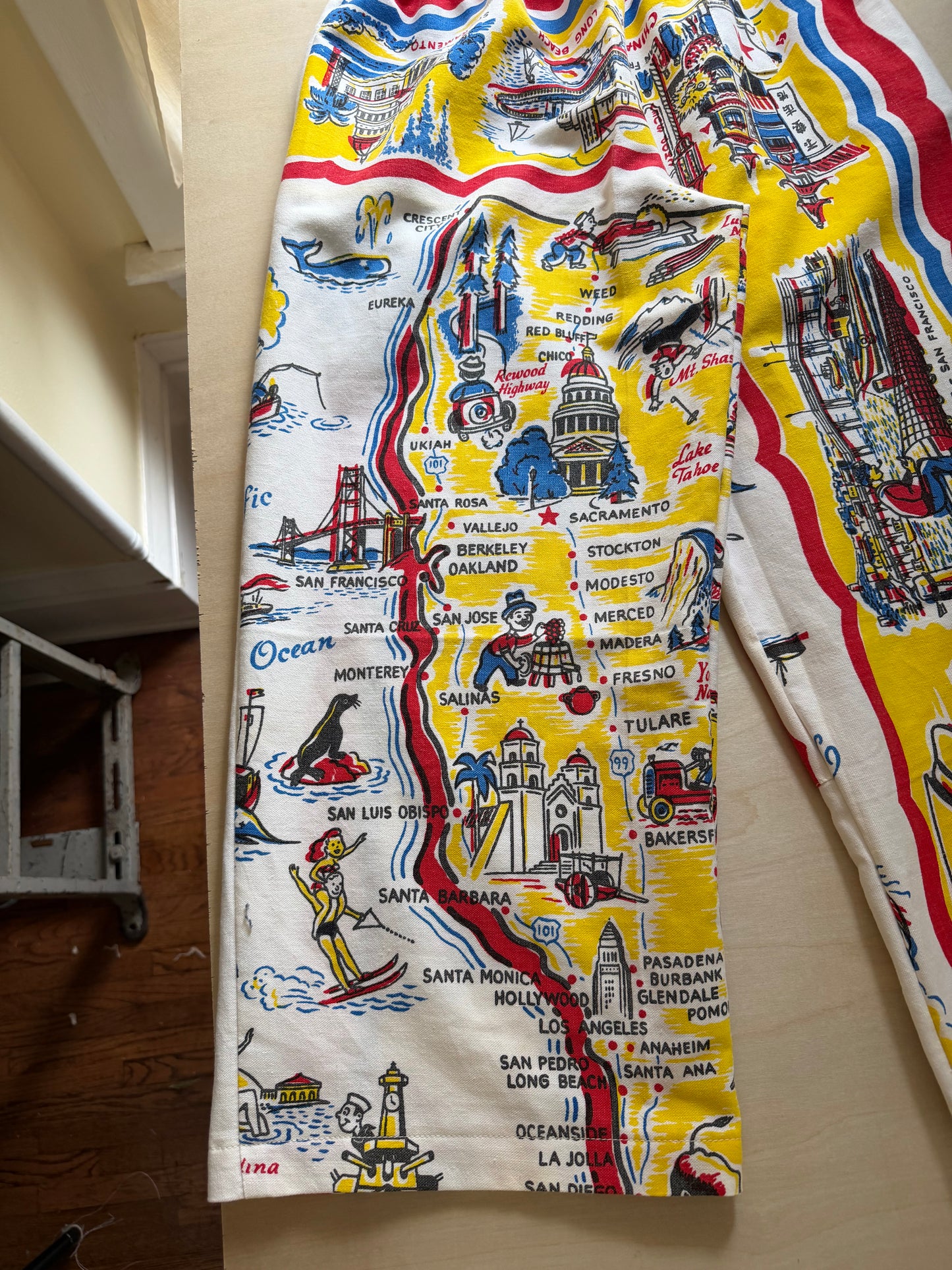 California Explorer Souvenir Pants [S/M]
